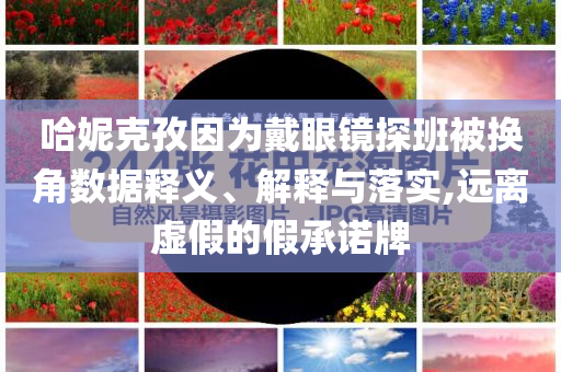 哈妮克孜因為戴眼鏡探班被換角數(shù)據(jù)釋義、解釋與落實,遠(yuǎn)離虛假的假承諾牌