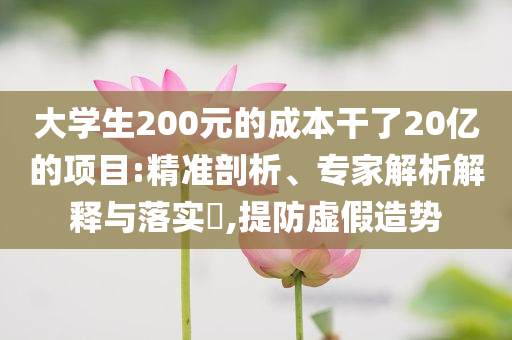 大學生200元的成本干了20億的項目:精準剖析、專家解析解釋與落實?,提防虛假造勢