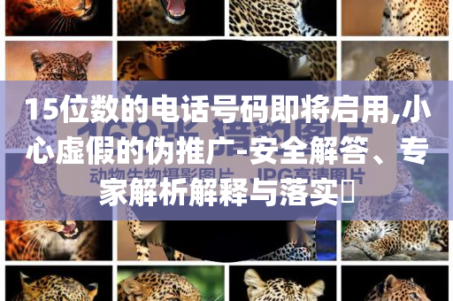 15位數(shù)的電話號碼即將啟用,小心虛假的偽推廣-安全解答、專家解析解釋與落實?