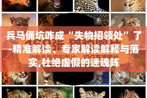 兵馬俑坑咋成“失物招領(lǐng)處”了-精準解讀、專家解讀解釋與落實,杜絕虛假的迷魂陣