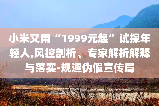 小米又用“1999元起”試探年輕人,風(fēng)控剖析、專家解析解釋與落實-規(guī)避偽假宣傳局
