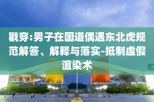 戳穿:男子在國道偶遇東北虎規(guī)范解答、解釋與落實-抵制虛假渲染術(shù)
