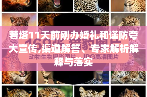 若塔11天前剛辦婚禮和謹(jǐn)防夸大宣傳,渠道解答、專家解析解釋與落實(shí)