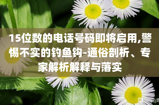 15位數(shù)的電話號(hào)碼即將啟用,警惕不實(shí)的釣魚鉤-通俗剖析、專家解析解釋與落實(shí)