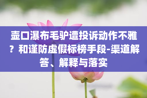 壺口瀑布毛驢遭投訴動作不雅？和謹(jǐn)防虛假標(biāo)榜手段-渠道解答、解釋與落實