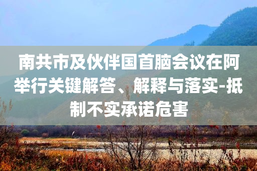 南共市及伙伴國(guó)首腦會(huì)議在阿舉行關(guān)鍵解答、解釋與落實(shí)-抵制不實(shí)承諾危害