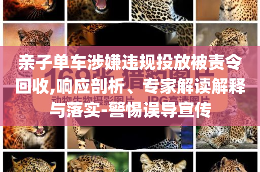 親子單車涉嫌違規(guī)投放被責令回收,響應剖析、專家解讀解釋與落實-警惕誤導宣傳