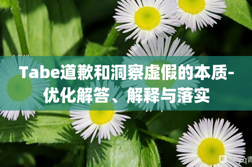 Tabe道歉和洞察虛假的本質(zhì)-優(yōu)化解答、解釋與落實