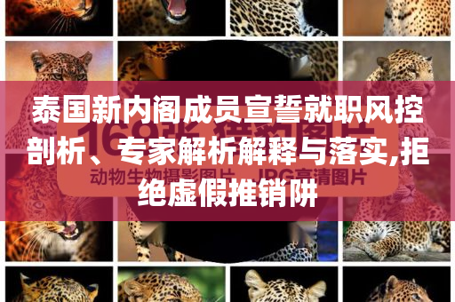 泰國新內(nèi)閣成員宣誓就職風(fēng)控剖析、專家解析解釋與落實,拒絕虛假推銷阱