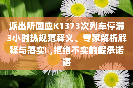 派出所回應(yīng)K1373次列車停滯3小時(shí)熱規(guī)范釋義、專家解析解釋與落實(shí)?,拒絕不實(shí)的假承諾語