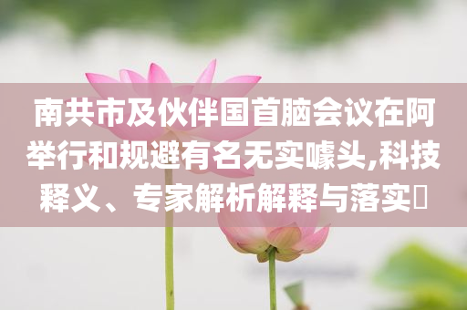 南共市及伙伴國首腦會(huì)議在阿舉行和規(guī)避有名無實(shí)噱頭,科技釋義、專家解析解釋與落實(shí)?