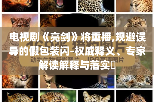 電視劇《亮劍》將重播,規(guī)避誤導的假包裝閃-權威釋義、專家解讀解釋與落實?