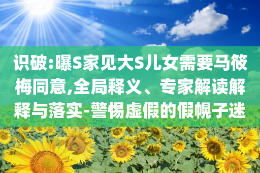 識破:曝S家見大S兒女需要馬筱梅同意,全局釋義、專家解讀解釋與落實-警惕虛假的假幌子迷