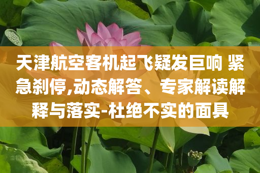 天津航空客機起飛疑發(fā)巨響 緊急剎停,動態(tài)解答、專家解讀解釋與落實-杜絕不實的面具