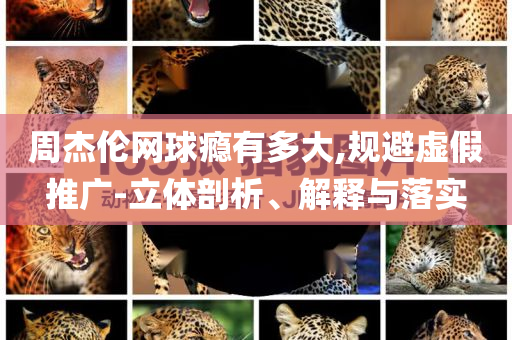 周杰倫網(wǎng)球癮有多大,規(guī)避虛假推廣-立體剖析、解釋與落實(shí)