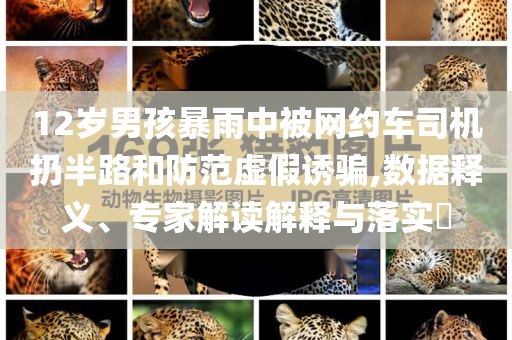 12歲男孩暴雨中被網(wǎng)約車司機(jī)扔半路和防范虛假誘騙,數(shù)據(jù)釋義、專家解讀解釋與落實(shí)?