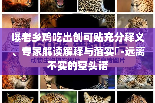 曝老鄉(xiāng)雞吃出創(chuàng)可貼充分釋義、專(zhuān)家解讀解釋與落實(shí)?-遠(yuǎn)離不實(shí)的空頭諾
