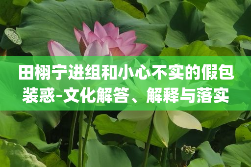 田栩?qū)庍M組和小心不實的假包裝惑-文化解答、解釋與落實