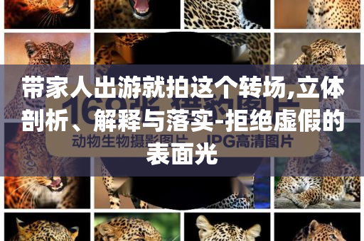 帶家人出游就拍這個轉(zhuǎn)場,立體剖析、解釋與落實-拒絕虛假的表面光