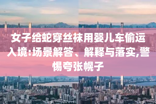 女子給蛇穿絲襪用嬰兒車偷運入境:場景解答、解釋與落實,警惕夸張幌子