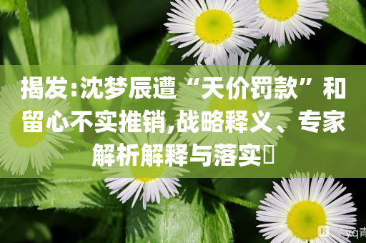 揭發(fā):沈夢辰遭“天價罰款”和留心不實推銷,戰(zhàn)略釋義、專家解析解釋與落實?