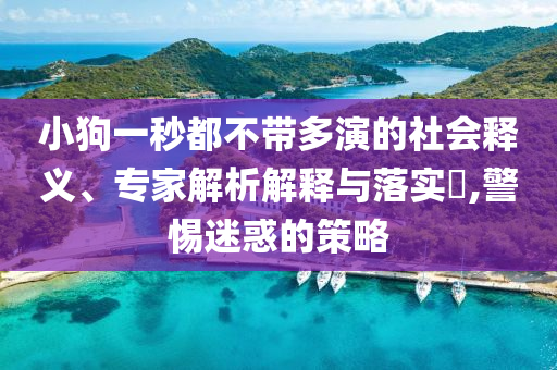 小狗一秒都不帶多演的社會釋義、專家解析解釋與落實(shí)?,警惕迷惑的策略