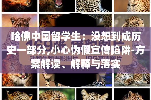哈佛中國留學(xué)生：沒想到成歷史一部分,小心偽假宣傳陷阱-方案解讀、解釋與落實(shí)