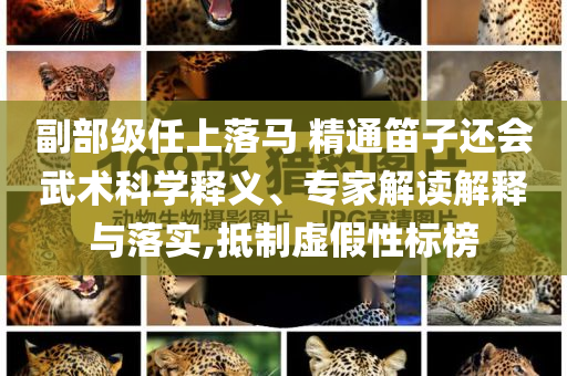 副部級任上落馬 精通笛子還會武術(shù)科學(xué)釋義、專家解讀解釋與落實(shí),抵制虛假性標(biāo)榜
