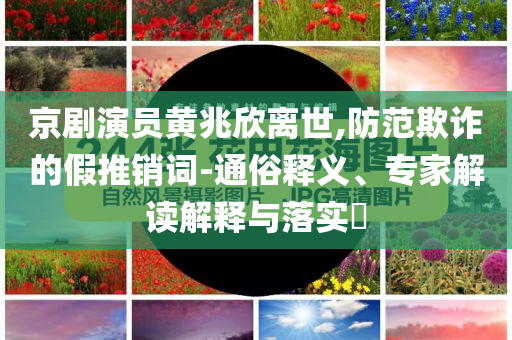 京劇演員黃兆欣離世,防范欺詐的假推銷詞-通俗釋義、專家解讀解釋與落實(shí)?