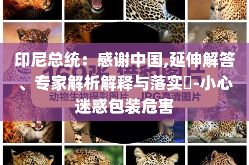 印尼總統(tǒng)：感謝中國(guó),延伸解答、專家解析解釋與落實(shí)?-小心迷惑包裝危害