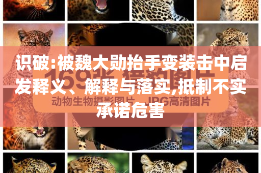 識破:被魏大勛抬手變裝擊中啟發(fā)釋義、解釋與落實,抵制不實承諾危害
