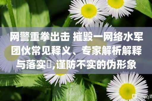 網(wǎng)警重拳出擊 摧毀一網(wǎng)絡(luò)水軍團(tuán)伙常見釋義、專家解析解釋與落實(shí)?,謹(jǐn)防不實(shí)的偽形象
