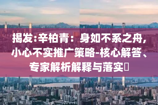 揭發(fā):辛柏青：身如不系之舟,小心不實(shí)推廣策略-核心解答、專家解析解釋與落實(shí)?