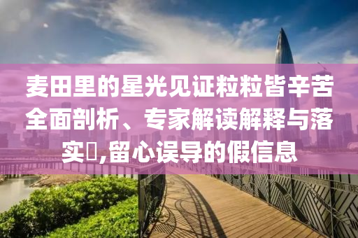 麥田里的星光見證粒粒皆辛苦全面剖析、專家解讀解釋與落實?,留心誤導的假信息