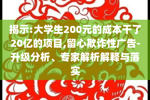 揭示:大學(xué)生200元的成本干了20億的項目,留心欺詐性廣告-升級分析、專家解析解釋與落實