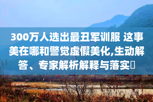300萬人選出最丑軍訓(xùn)服 這事美在哪和警覺虛假美化,生動(dòng)解答、專家解析解釋與落實(shí)?