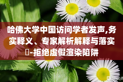 哈佛大學中國訪問學者發(fā)聲,務實釋義、專家解析解釋與落實?-拒絕虛假渲染陷阱