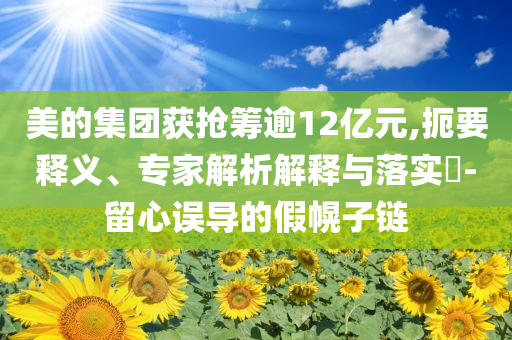 美的集團獲搶籌逾12億元,扼要釋義、專家解析解釋與落實?-留心誤導的假幌子鏈