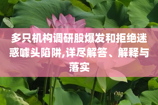 多只機構(gòu)調(diào)研股爆發(fā)和拒絕迷惑噱頭陷阱,詳盡解答、解釋與落實