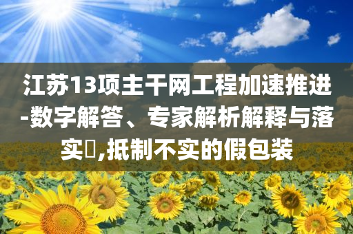 江蘇13項主干網(wǎng)工程加速推進-數(shù)字解答、專家解析解釋與落實?,抵制不實的假包裝