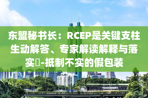 東盟秘書長：RCEP是關(guān)鍵支柱生動解答、專家解讀解釋與落實?-抵制不實的假包裝