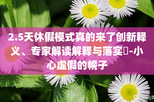 2.5天休假模式真的來了創(chuàng)新釋義、專家解讀解釋與落實(shí)?-小心虛假的幌子
