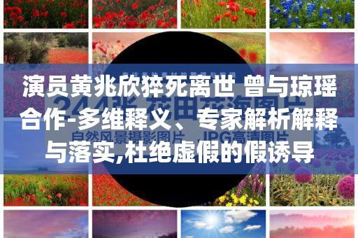 演員黃兆欣猝死離世 曾與瓊瑤合作-多維釋義、專家解析解釋與落實(shí),杜絕虛假的假誘導(dǎo)