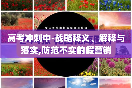 高考沖刺中-戰(zhàn)略釋義、解釋與落實(shí),防范不實(shí)的假營銷
