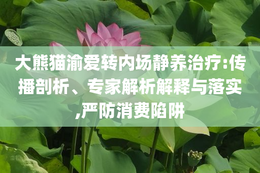 大熊貓渝愛(ài)轉(zhuǎn)內(nèi)場(chǎng)靜養(yǎng)治療:傳播剖析、專(zhuān)家解析解釋與落實(shí),嚴(yán)防消費(fèi)陷阱