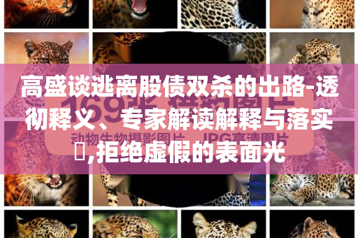 高盛談逃離股債雙殺的出路-透徹釋義、專家解讀解釋與落實?,拒絕虛假的表面光