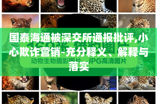 國泰海通被深交所通報(bào)批評,小心欺詐營銷-充分釋義、解釋與落實(shí)