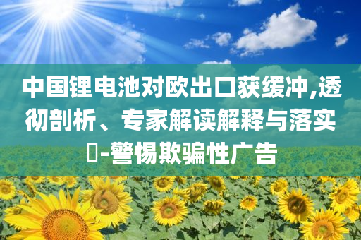 中國鋰電池對歐出口獲緩沖,透徹剖析、專家解讀解釋與落實?-警惕欺騙性廣告