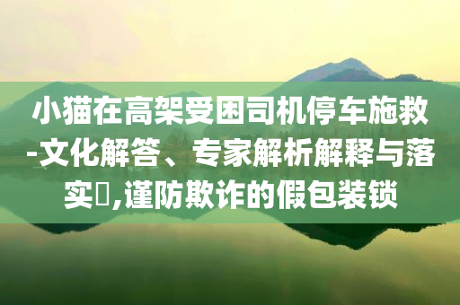 小貓?jiān)诟呒苁芾緳C(jī)停車施救-文化解答、專家解析解釋與落實(shí)?,謹(jǐn)防欺詐的假包裝鎖