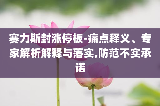 賽力斯封漲停板-痛點(diǎn)釋義、專家解析解釋與落實(shí),防范不實(shí)承諾